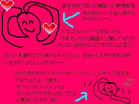 ある深夜のシドニーでの出来事