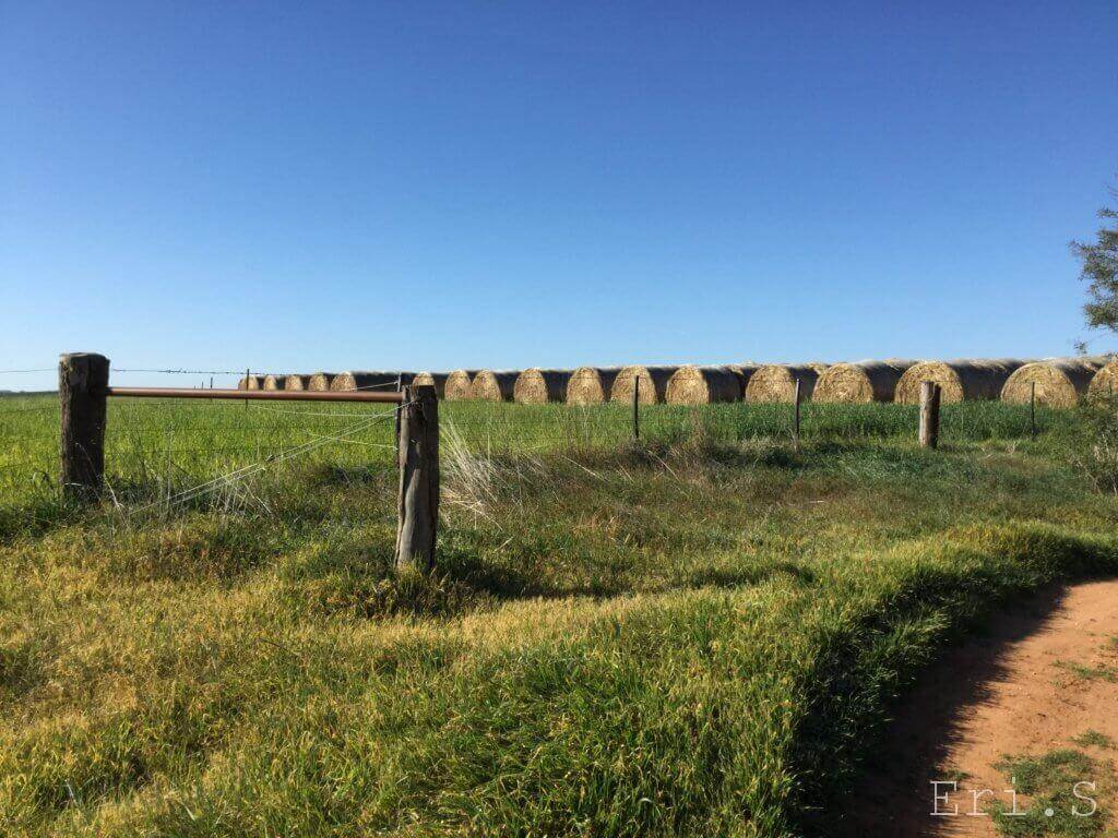 19世紀に開拓者で賑わった町Swan Hill