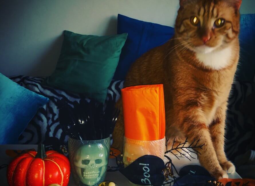 オーストラリアのハロウィン