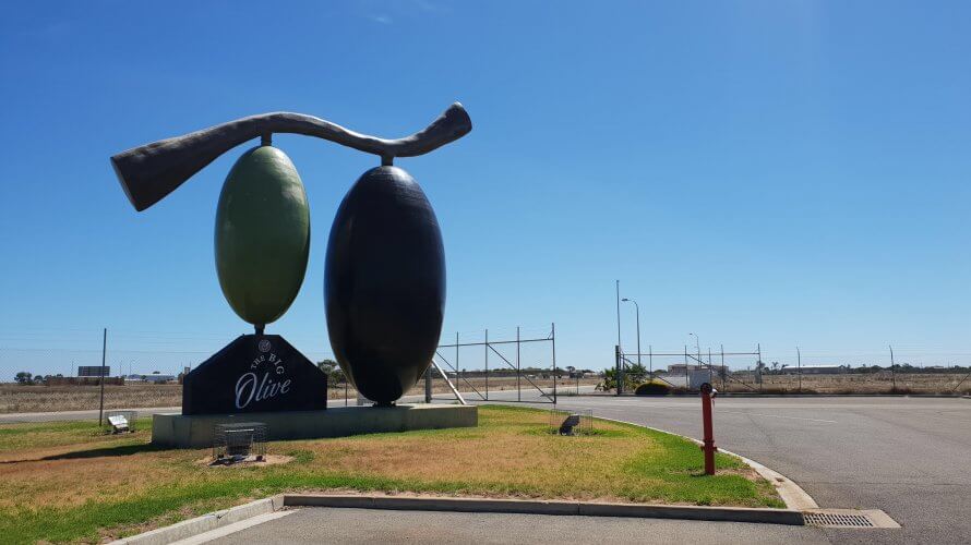 オリーブ製品が買えるビッグオリーブ in Tailem Bend