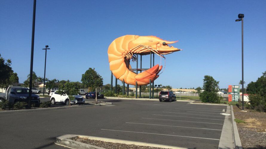 隠れた名所、Ballinaの巨大エビ!
