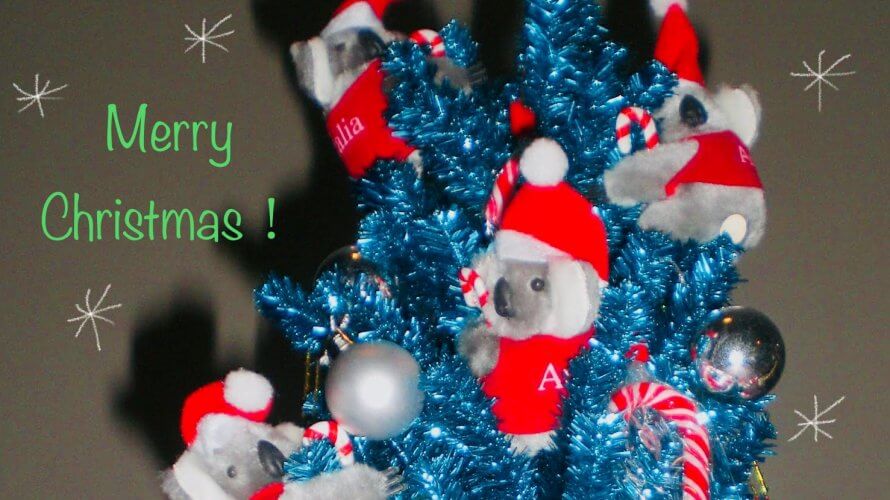 Christmas in July☆オーストラリアはクリスマスが2度やって来る!