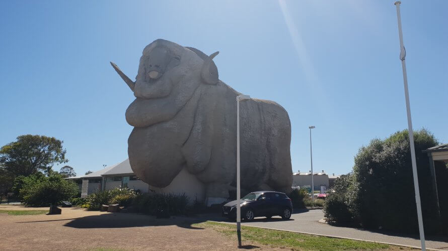 巨大メリノ羊のおみやげ屋さん in Goulburn