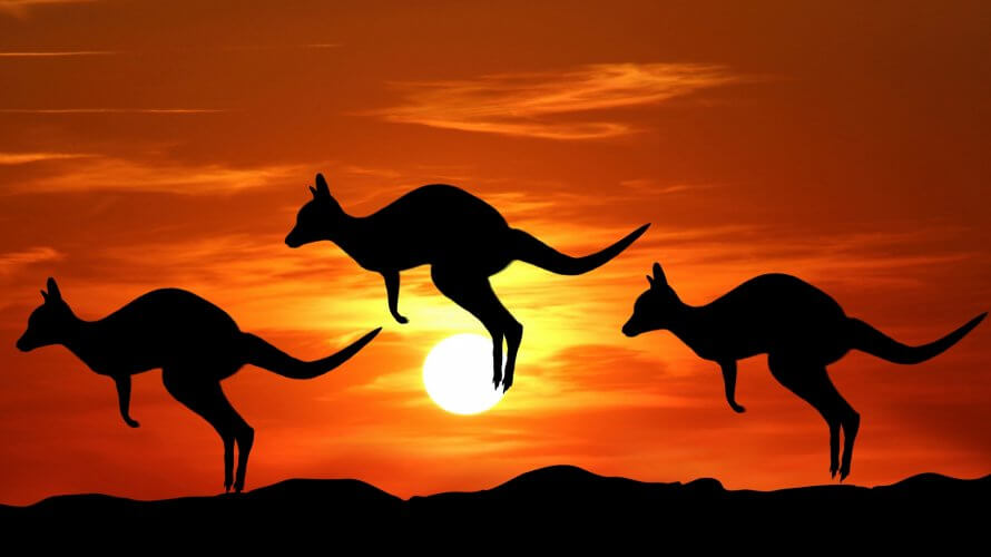映画 Australia (オーストラリア) のあらすじ・感想