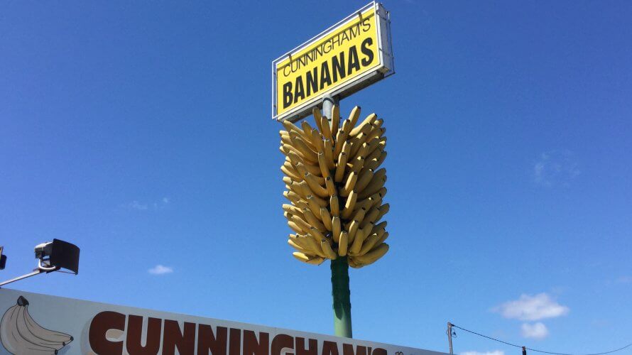 大きなバナナの房が目印の八百屋さん in Coffs Harbour