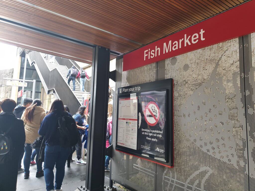 Fish Market