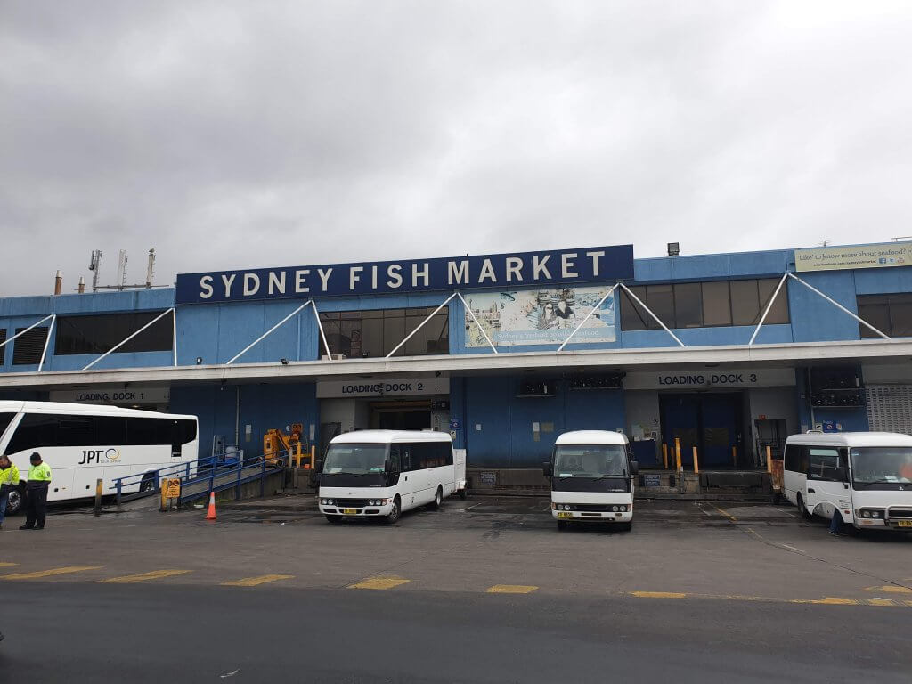 Fish Market