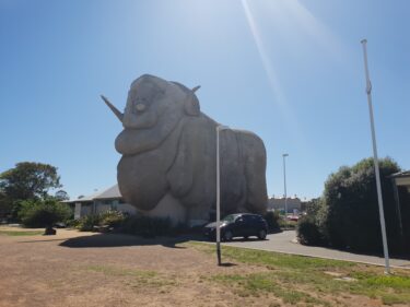 巨大メリノ羊のおみやげ屋さん in Goulburn