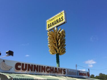 大きなバナナの房が目印の八百屋さん in Coffs Harbour