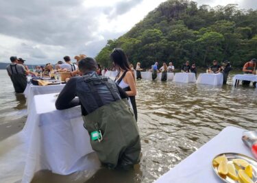 Sydney Oyster Farm Tours