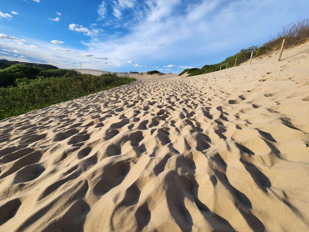 Cronulla Sand Dune