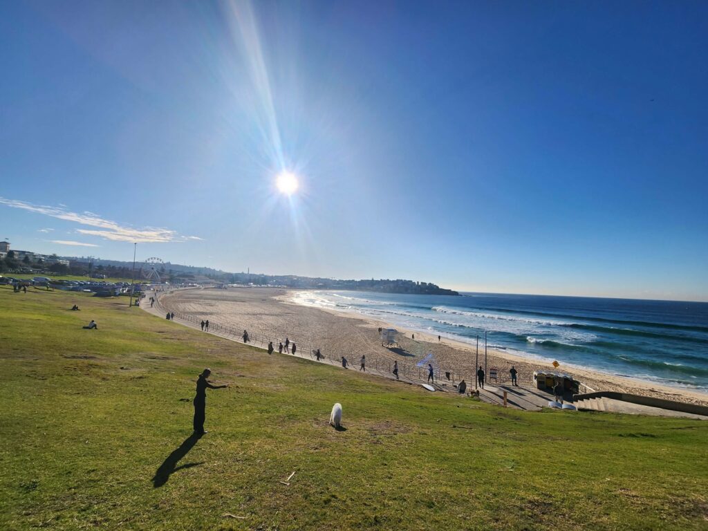 Bondi Beach