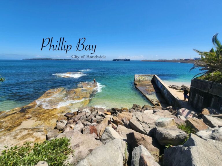 Phillip Bay
