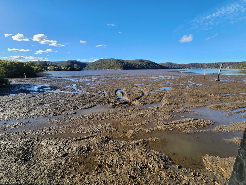 Hawkesbury River Oyster Shed