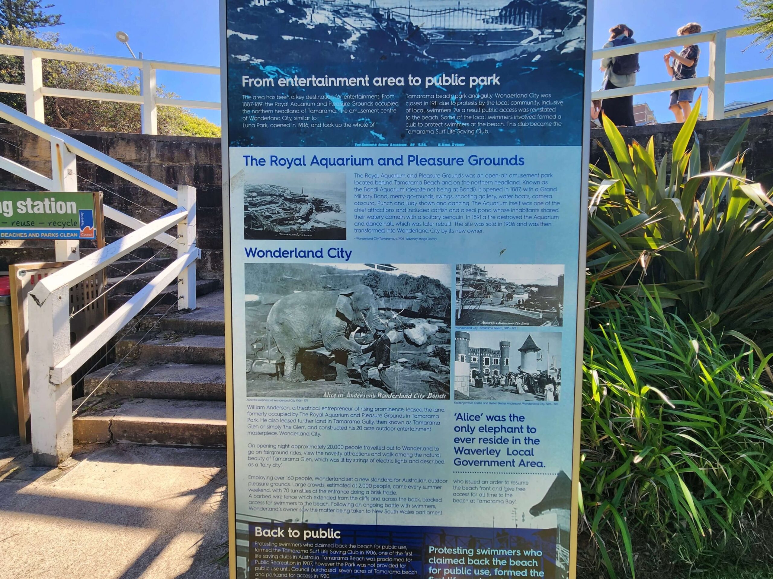 Tamarama Beach