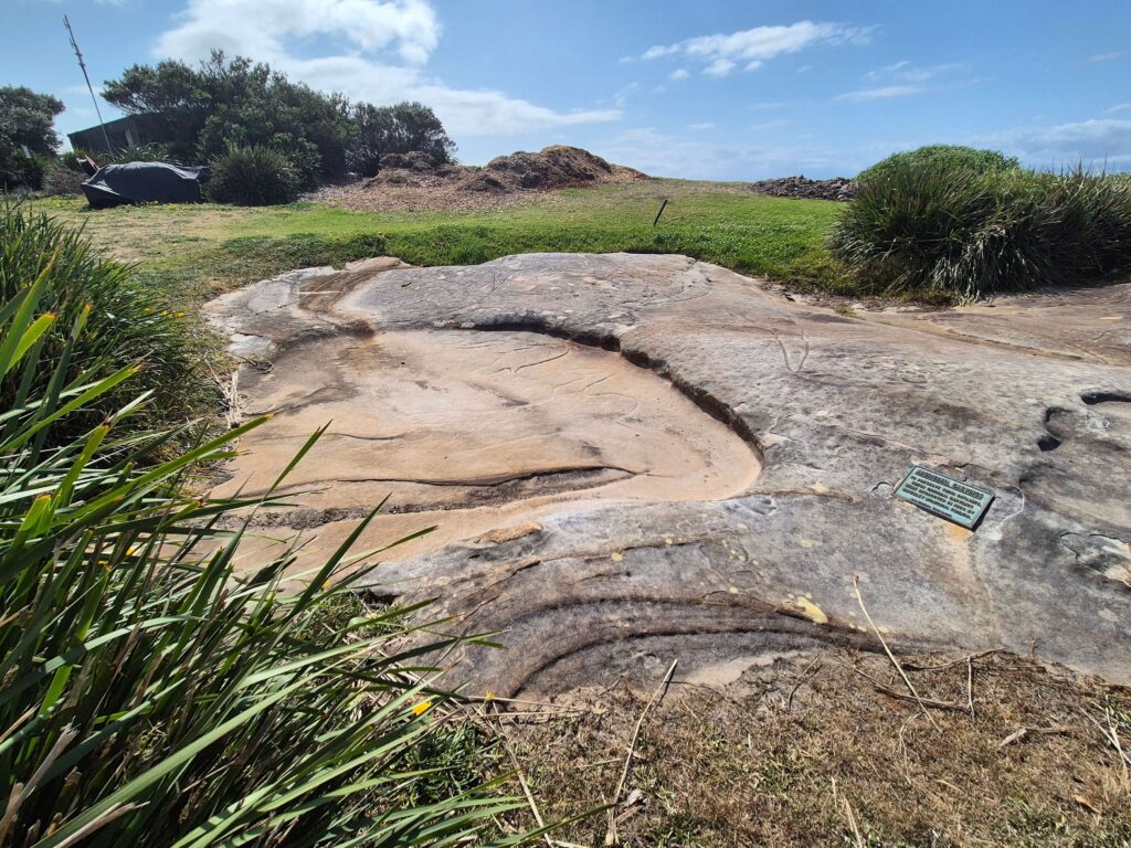 Williams Park & Bondi Golf Club