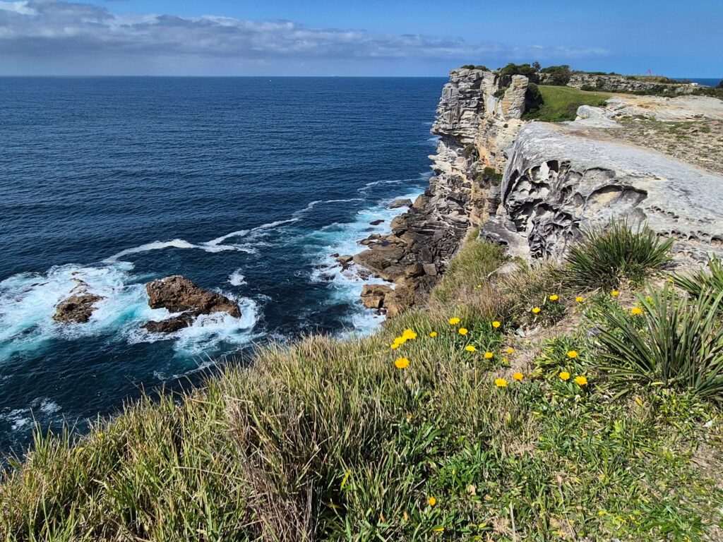 Williams Park & Bondi Golf Club