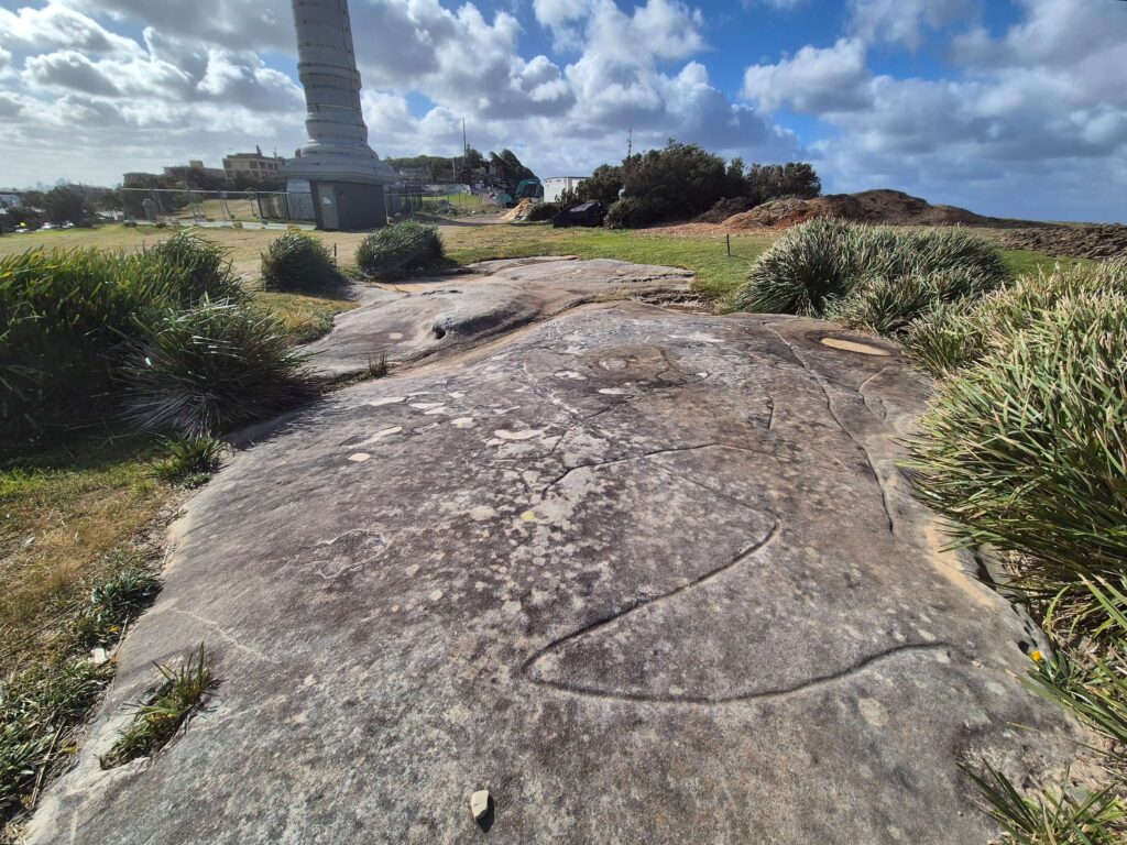 Williams Park & Bondi Golf Club