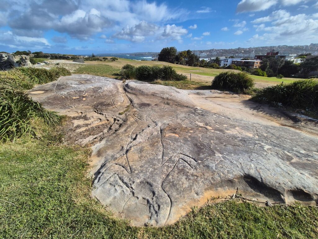 Williams Park & Bondi Golf Club