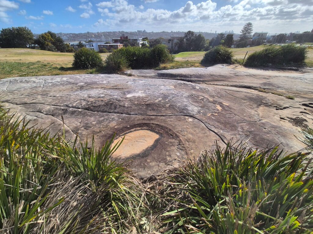 Williams Park & Bondi Golf Club