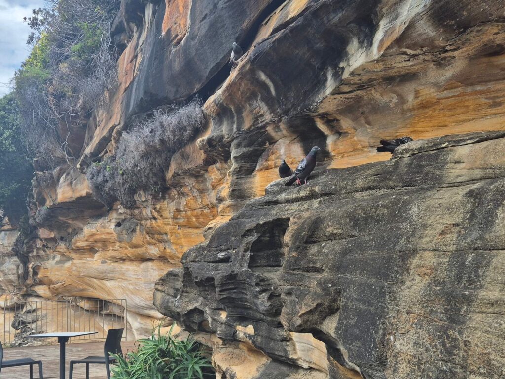 Tamarama Beach