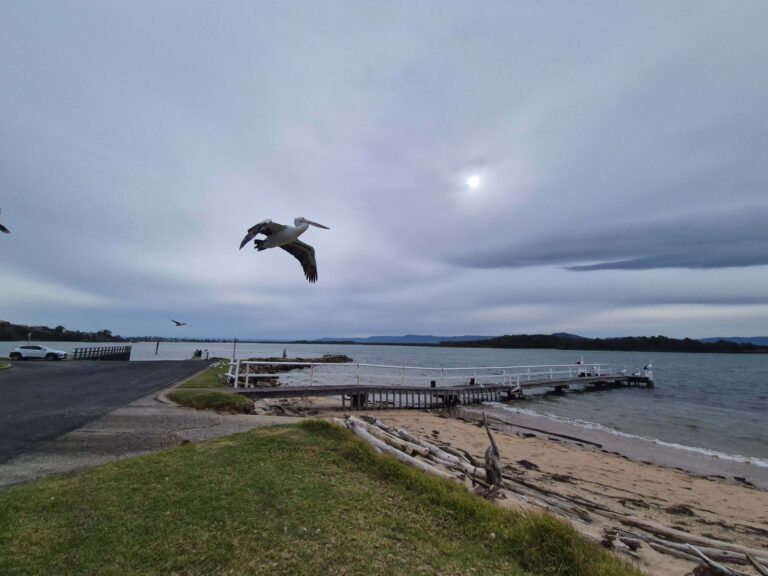 City of Shoalhaven