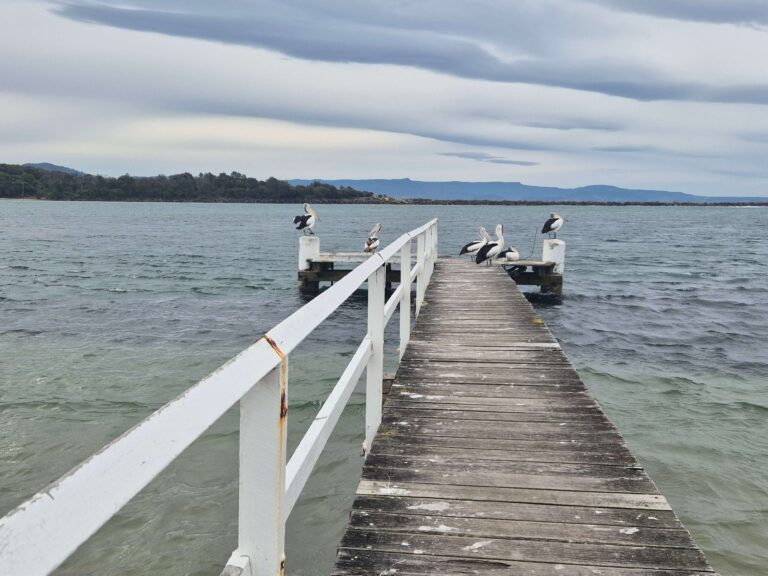 Culburra Beach
