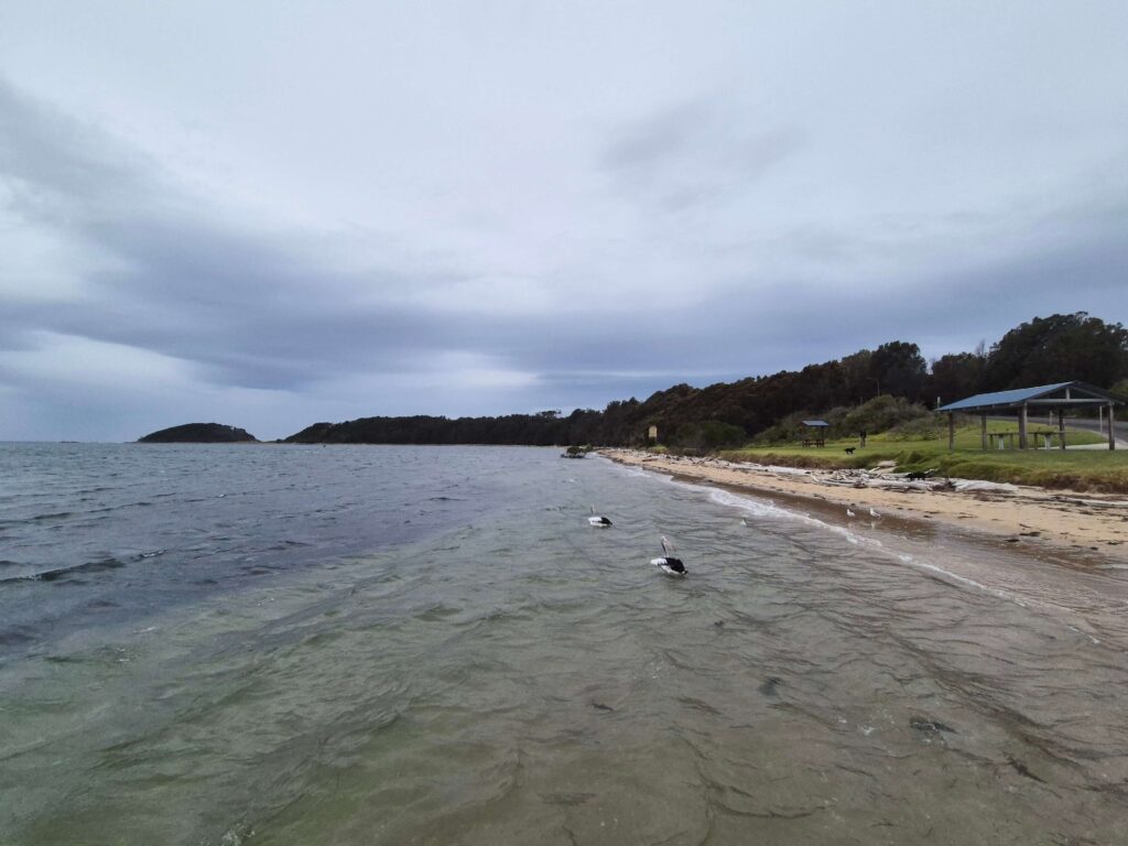 Culburra Beach