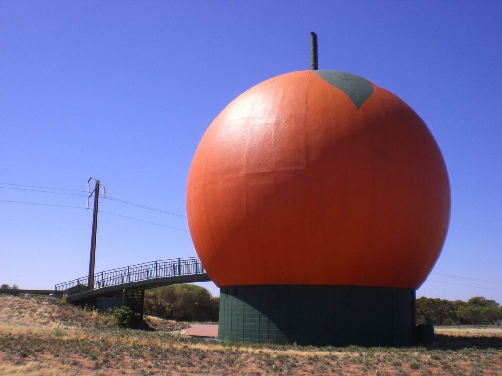 Big Orange Berri