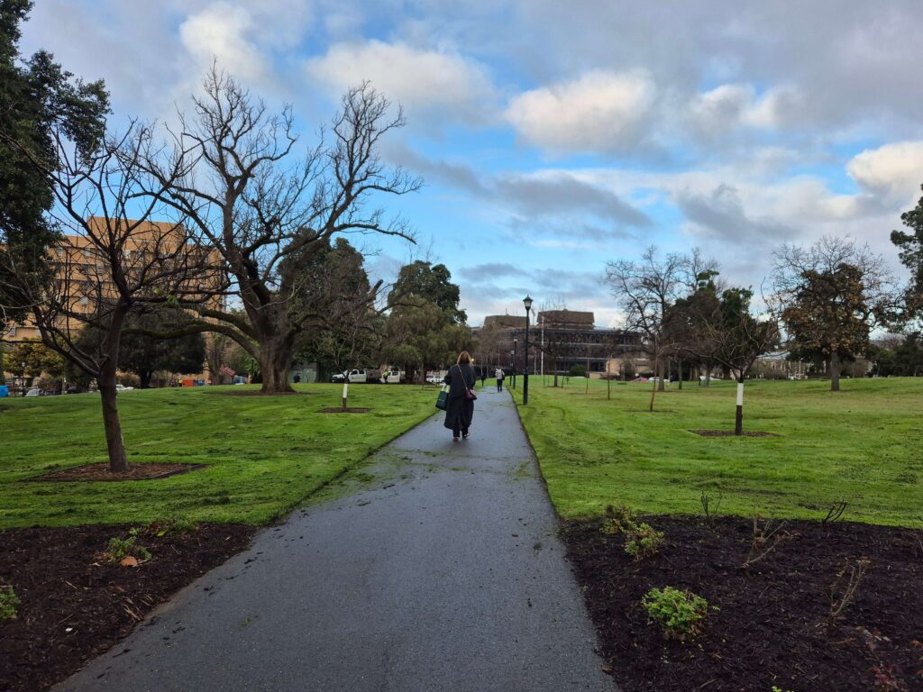 North Adelaide