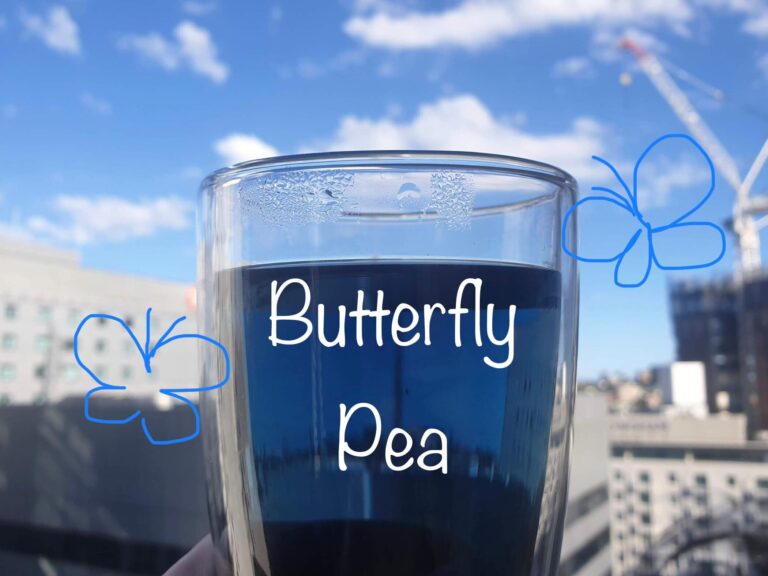 Butterfly Pea