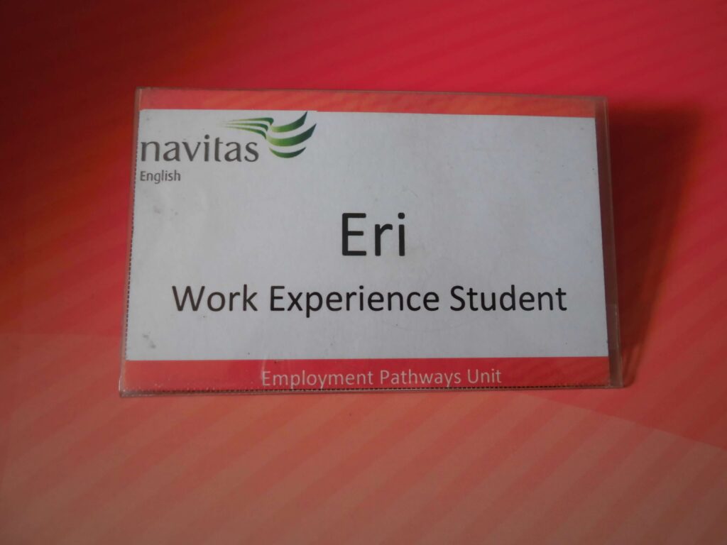 Work Experience 